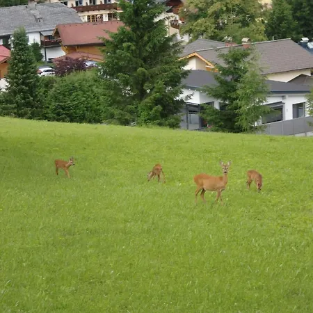 Haus Dreier By Interhome アパート