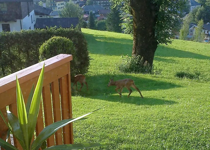 アパート Haus Dreier By Interhome アプテナウ