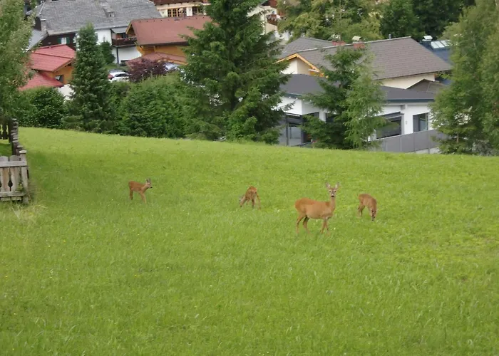 Haus Dreier By Interhome アパート